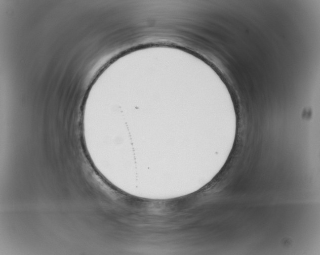 X0000113210799200910221101