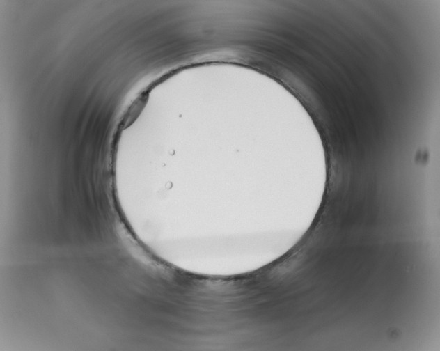 X0000113210800200910221101