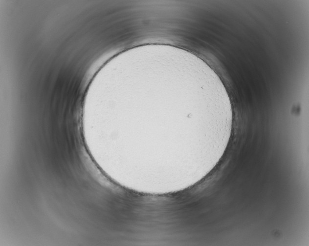 X0000113210804200910221101