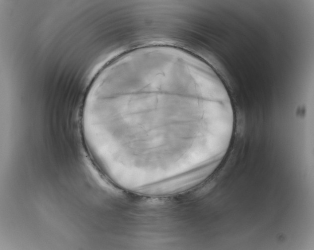 X0000113210806200910221101