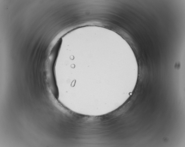 X0000113210808200910221101