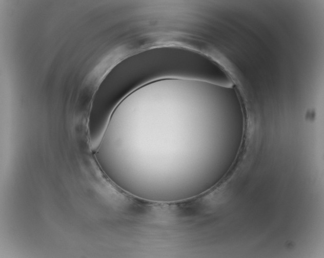 X0000113210809200910221101