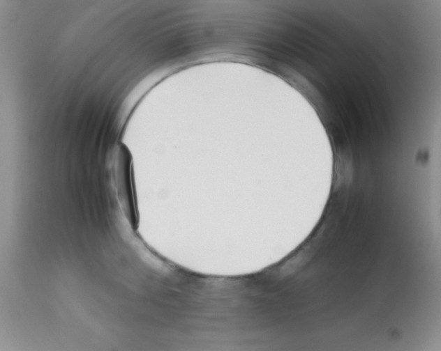 X0000113210812200910221101