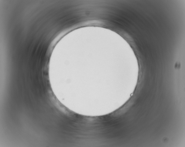 X0000113210816200910221101