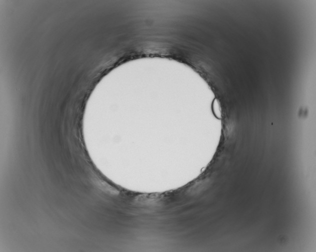 X0000113210817200910221100