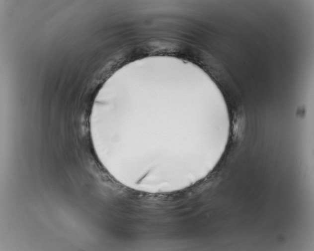 X0000113210819200910221100