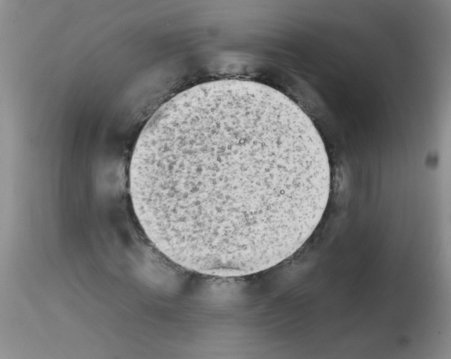 X0000113210820200910221100