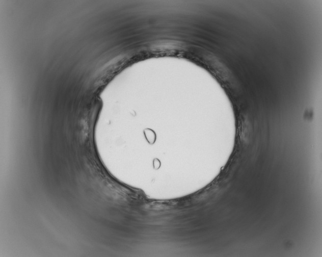 X0000113210821200910221100