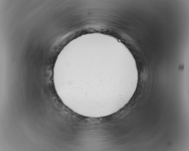 X0000113210822200910221100