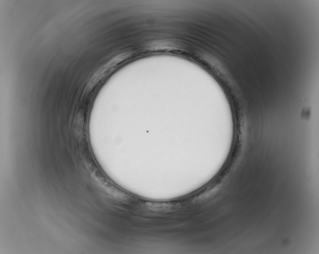 X0000113210825200910221101