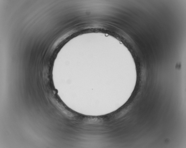 X0000113210826200910221101