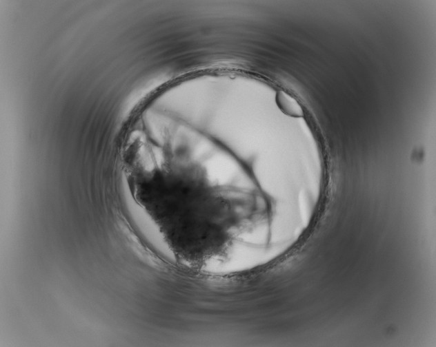 X0000113210827200910221101