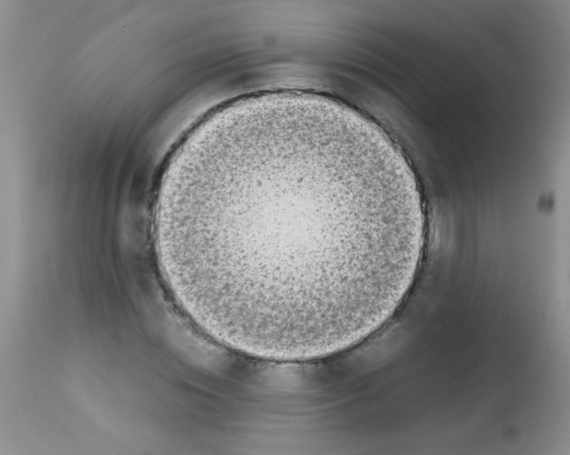 X0000113210828200910221101