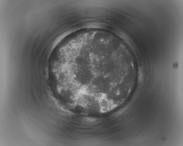 X0000113210829200910221101