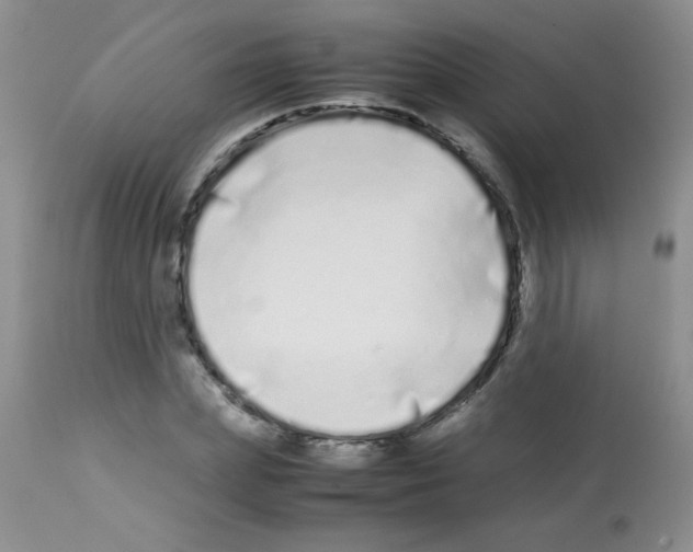 X0000113210831200910221101