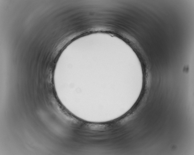 X0000113210833200910221101