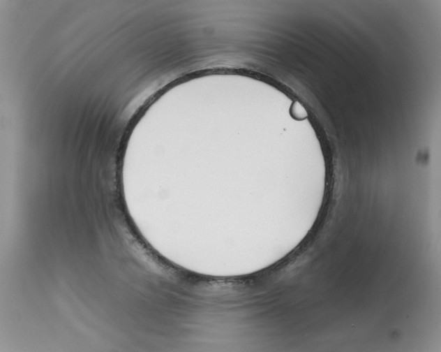 X0000113210834200910221101