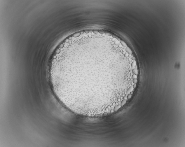 X0000113210835200910221101