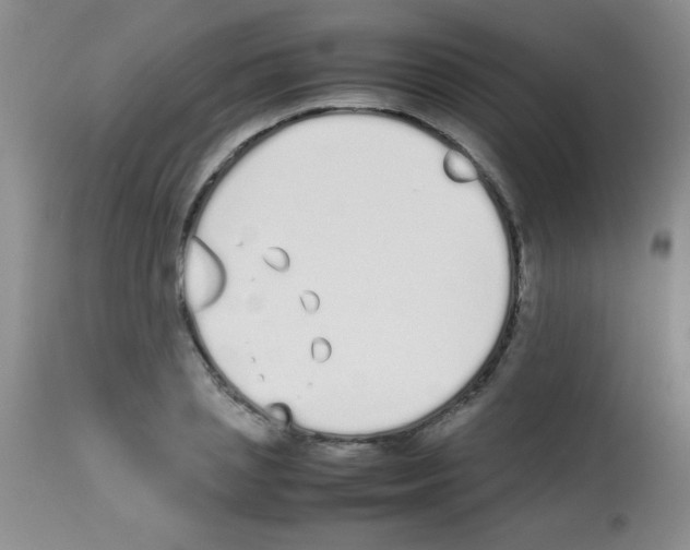 X0000113210837200910221101