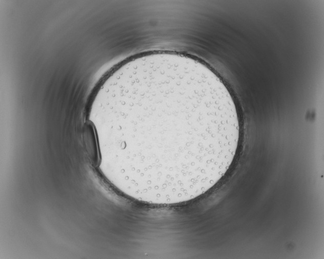 X0000113210838200910221101