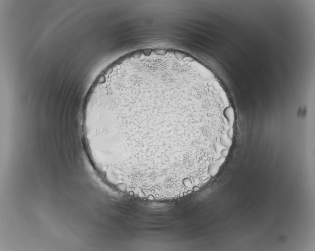 X0000113210839200910221101