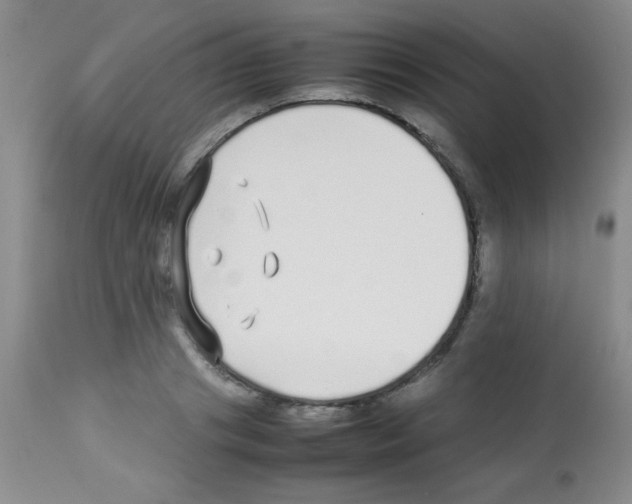 X0000113210841200910221101