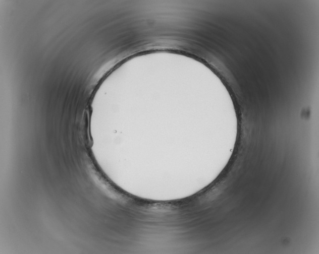 X0000113210842200910221101