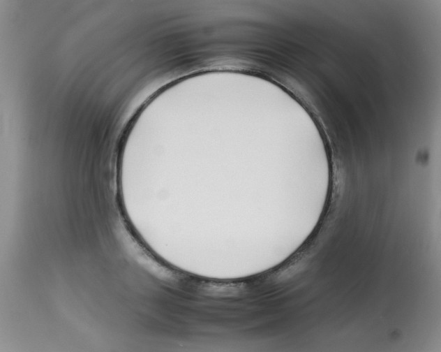 X0000113210843200910221101