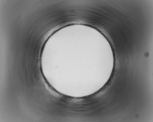 X0000113210845200910221101