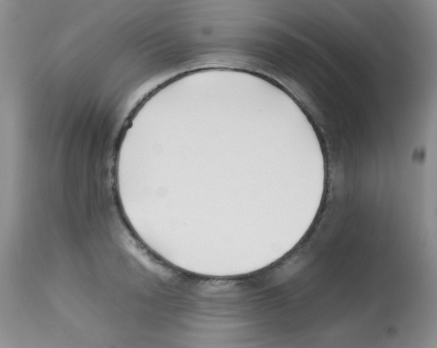 X0000113210846200910221101