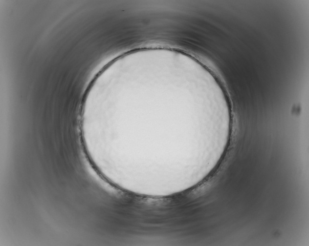 X0000113210847200910221101