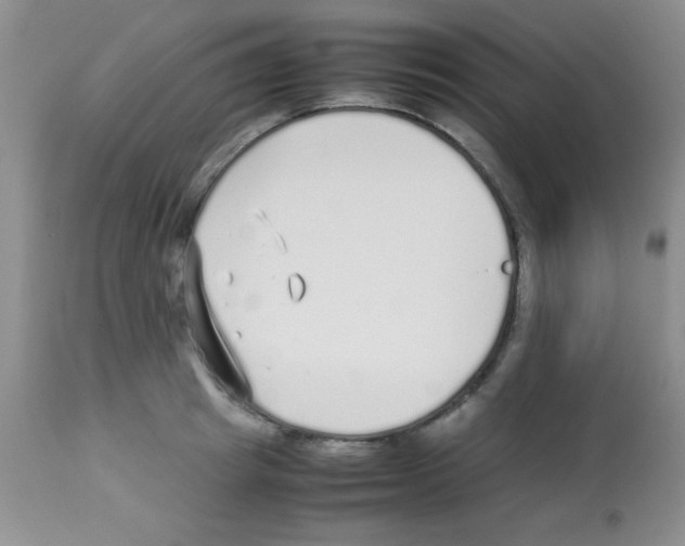 X0000113210849200910221101