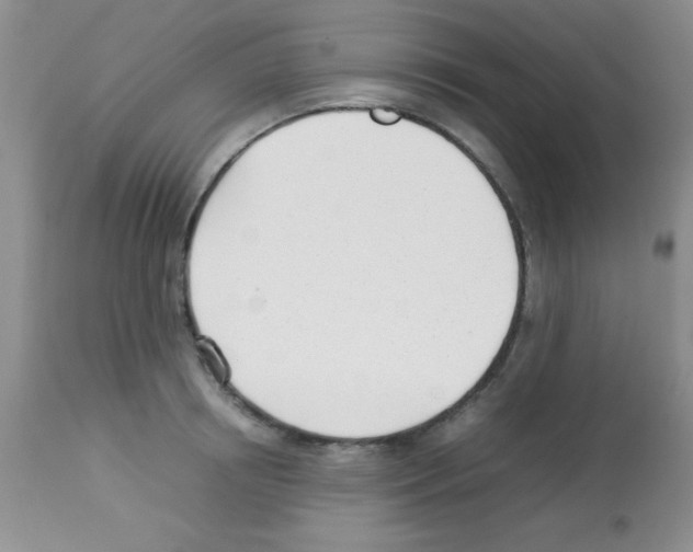 X0000113210850200910221101