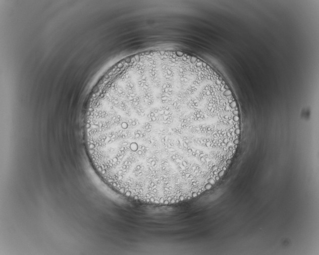 X0000113210851200910221101