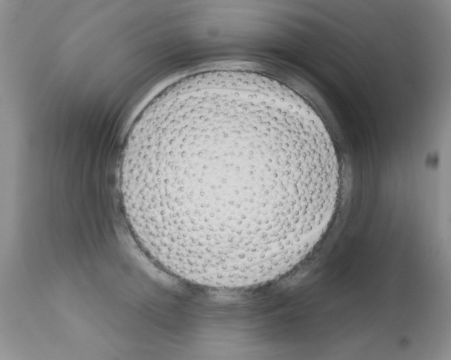 X0000113210852200910221101