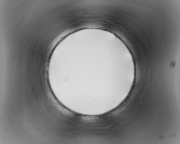 X0000113210853200910221101