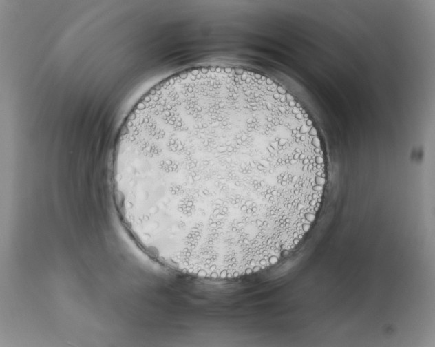 X0000113210855200910221101