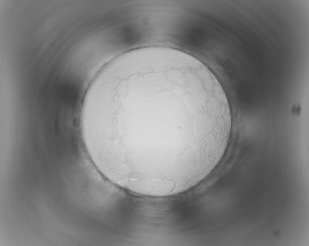 X0000113210856200910221101