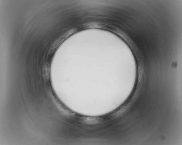 X0000113210857200910221101