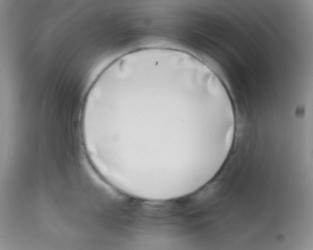 X0000113210863200910221101