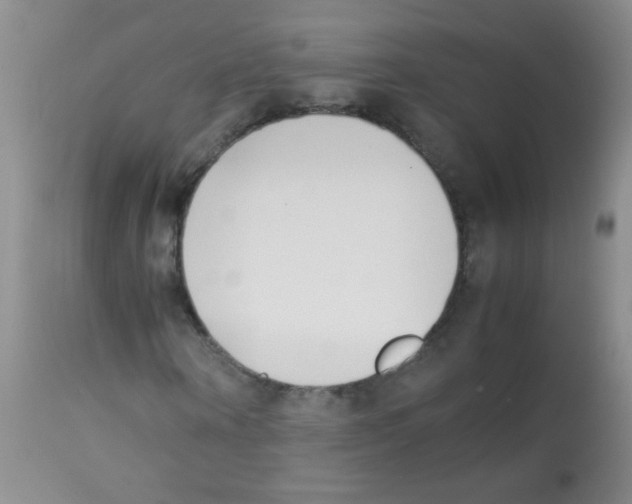 X0000113210866200910221100