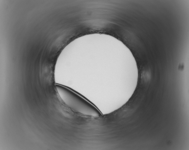 X0000113210868200910221100