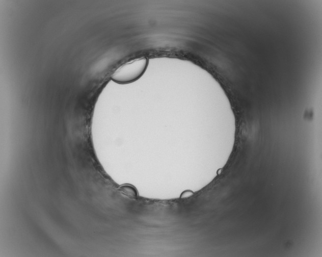 X0000113210869200910221100