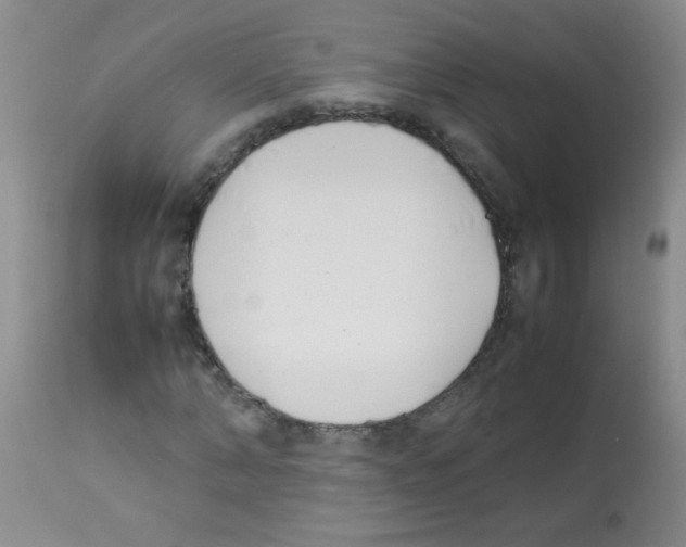 X0000113210870200910221100