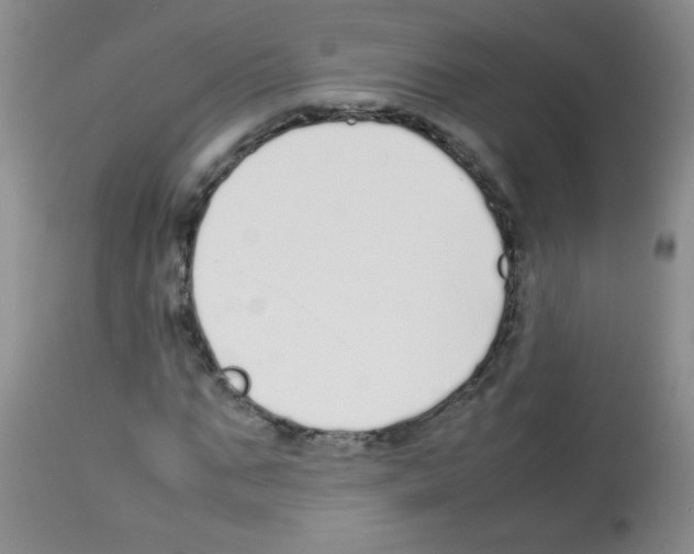 X0000113210871200910221100