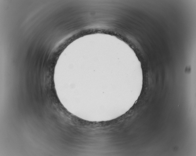 X0000113210872200910221100