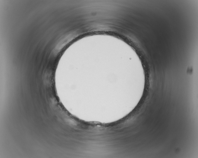 X0000113210873200910221100