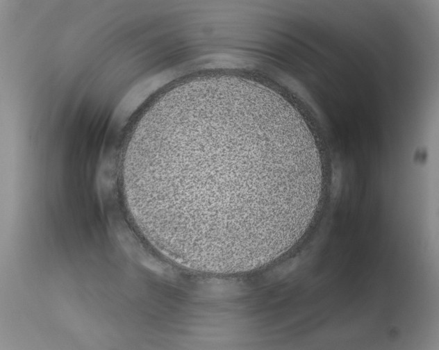 X0000113210874200910221100