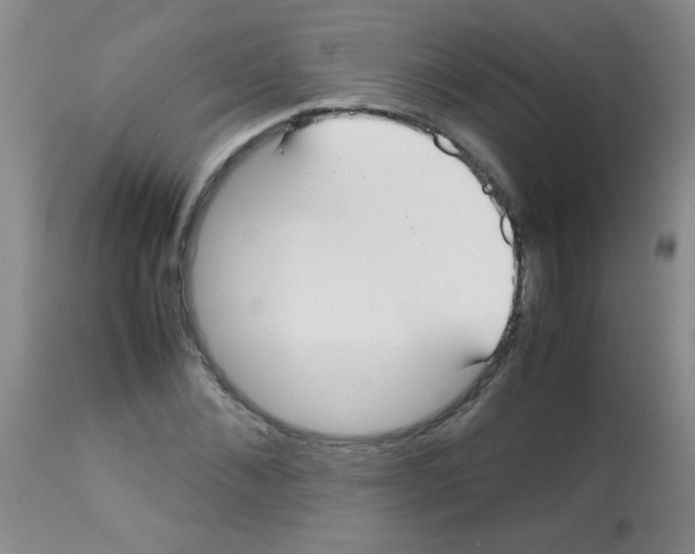 X0000113210876200910221100