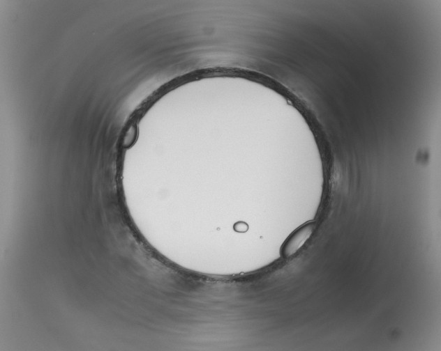 X0000113210877200910221100